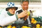 褚时健赴北京卖橙