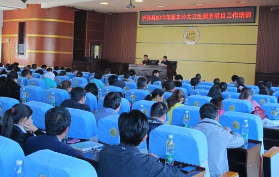 泸西县加强基本公共卫生服务项目工作培训