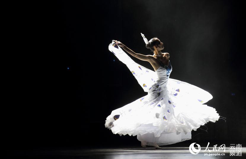 红河文化艺术节:舞蹈演员演绎《雀之灵》向杨
