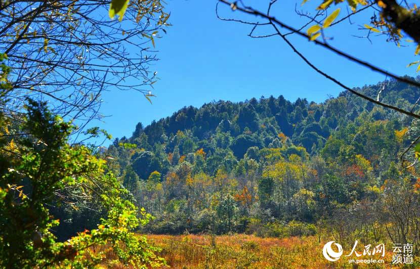 云南昌宁天堂山湿地 诗一样的风景(高清组图)