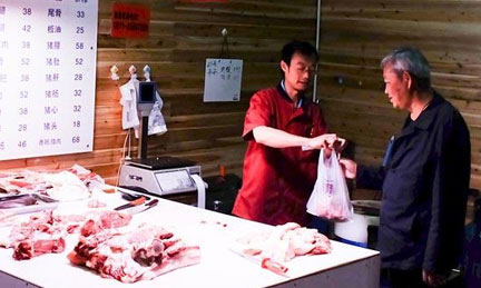 85后“豬司令”和他的彝家土豬-雲南大學生回家養豬闖市場