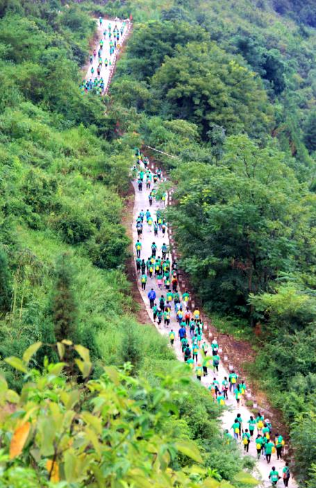 罗平旅游景点大全_罗平旅游收入