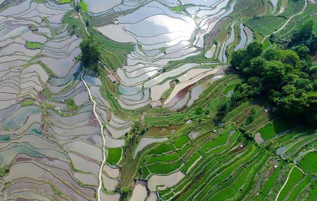 云南各地州经济总量_云南各地车牌字母识别(3)