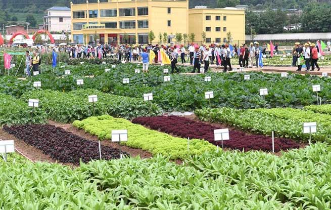 昆明市区人口2017_昆明市区地图(3)