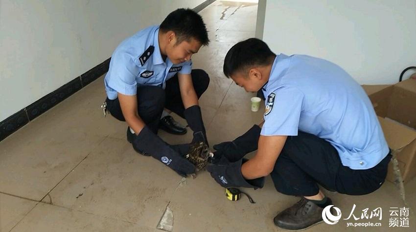 马关县有多少人口_马关县第一中学