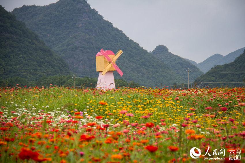 风车花海 人民网 薛丹 摄