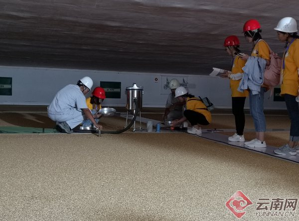 公众实地探访云南"粮仓":粮食"住"的比人还舒服