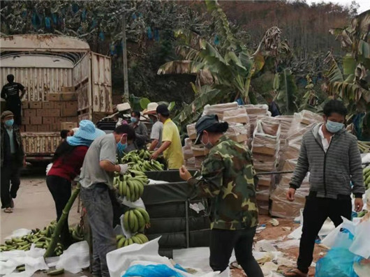 �ն����ǣ�ս�������������� ũ�´�������æ��2��