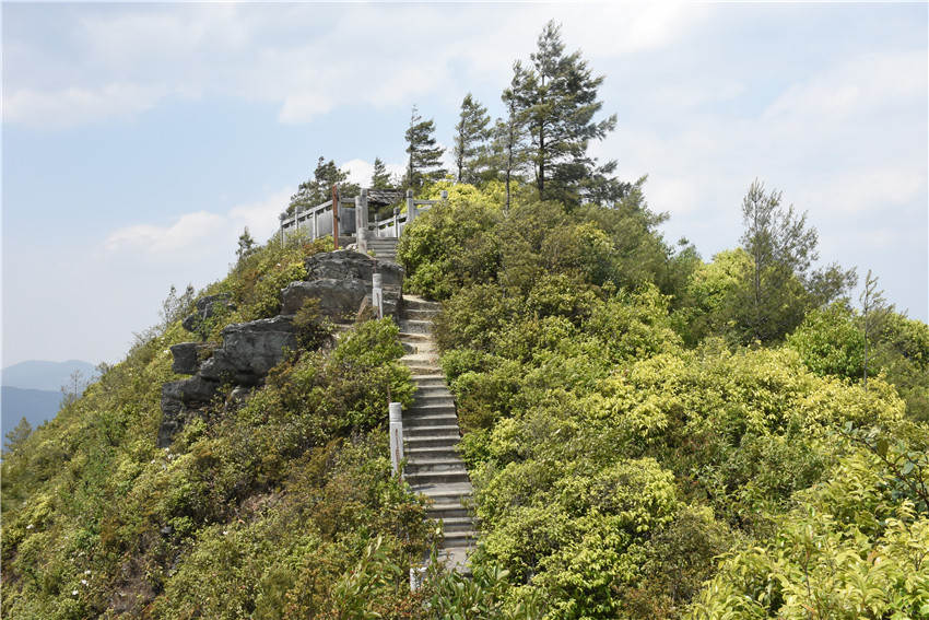 游步道 供圖