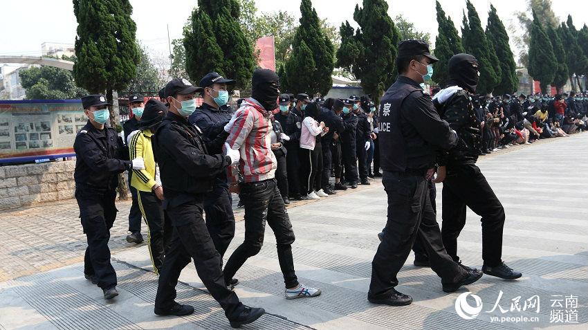 雲南再次破獲特大偷越國（邊）境案 抓獲54名涉案人員  供圖