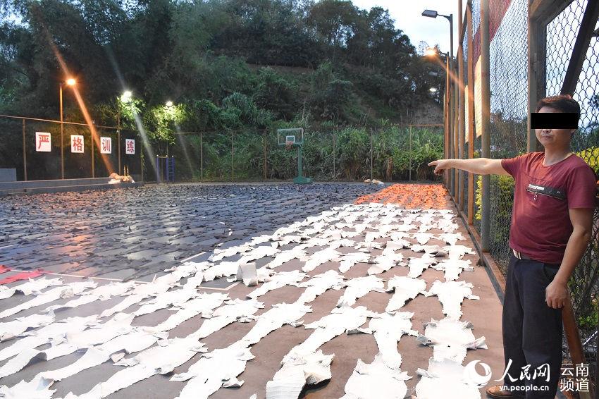 云南：1213张鳄鱼皮被查获 铺满篮球场 