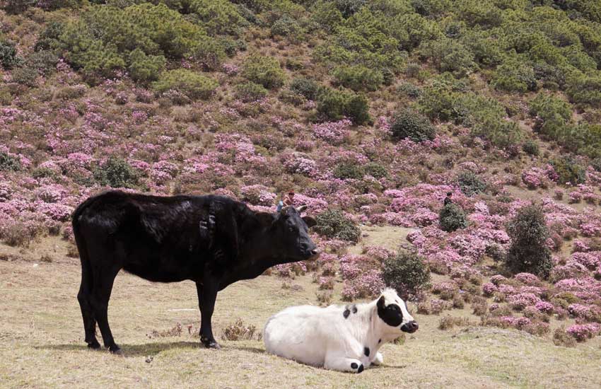 ��Ӱ����˼��