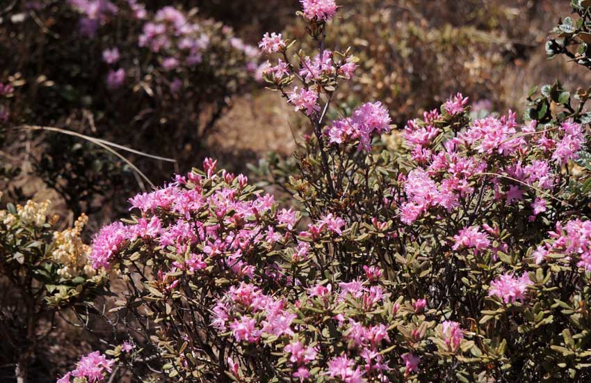 ��Ӱ����˼��