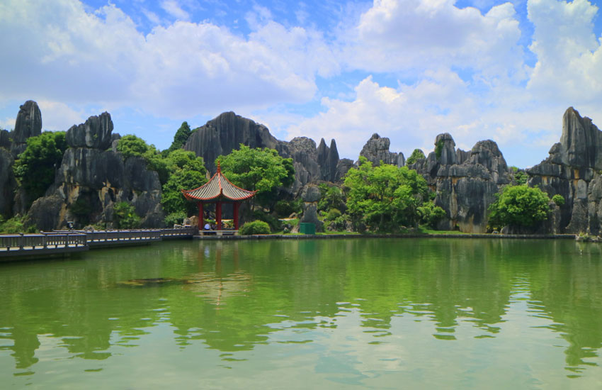 蓮花池 供圖