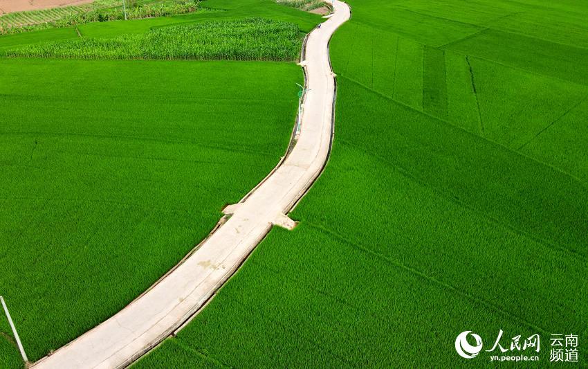 ���С·���嵾��֮�䣨���� �㣩