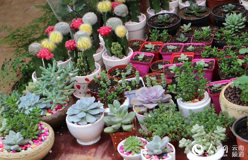 花市 供圖