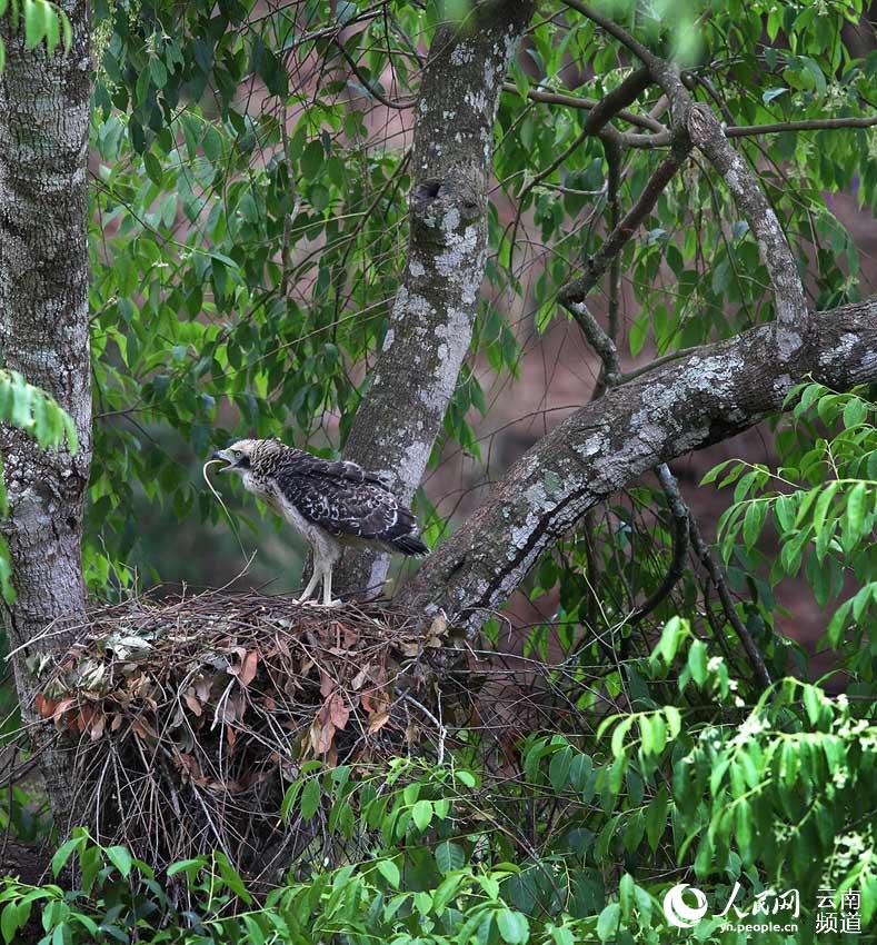 ��ѧ����