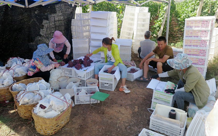 �������ݳ���Ⱥ�ڰ����ѷּ�װ�䣨����� �㣩 