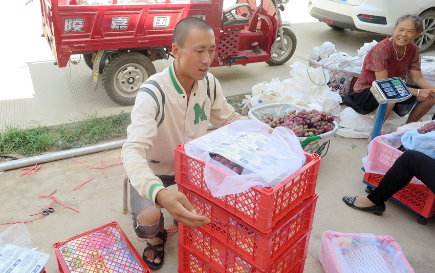 �������ݳ���Ⱥ�ڰ����ѷּ�װ�䣨����� �㣩