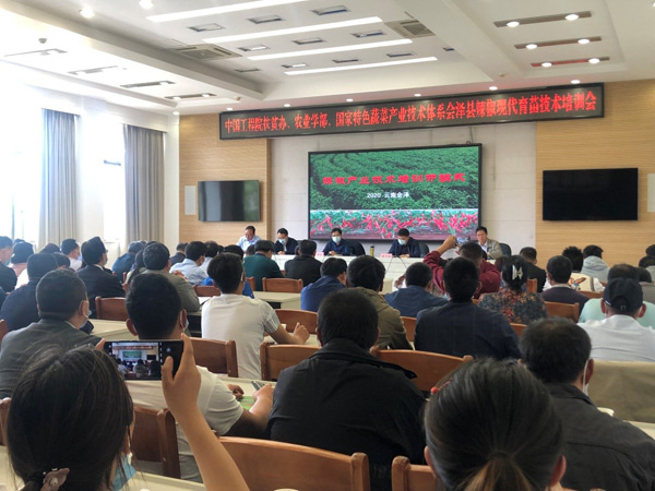 組織辣椒種植戶進行育苗技術培訓。（供圖）