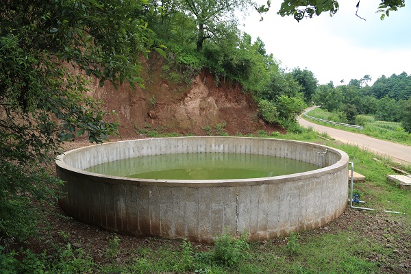 當地煙草部門修建的水池。