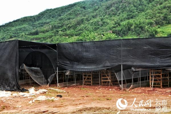 梅子鎮枧河村箐頭搬遷安置點正在建設的香菇種植鋼架大棚。（人民網 劉怡 攝）