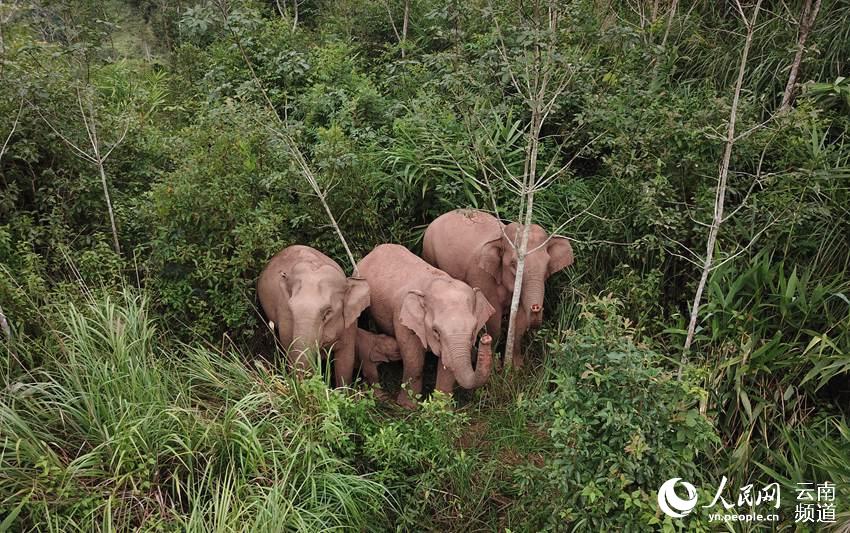 ���ն��о��ڻ��Ұ������������ͼ��