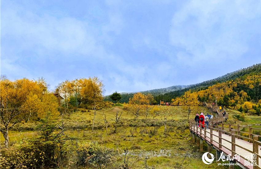 普達措國家公園的秋天  人民網 曾智慧 攝