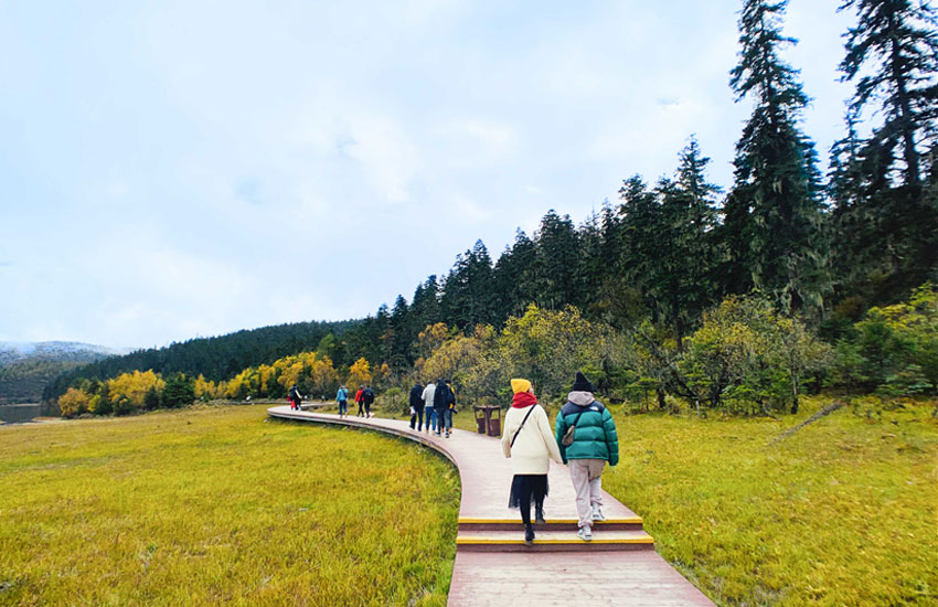 普達措國家公園的秋天 人民網 曾智慧 攝