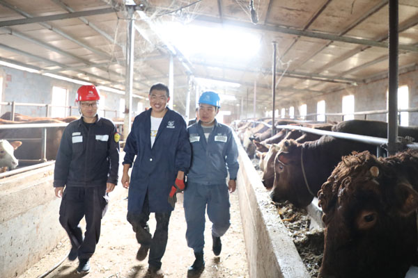 電力工人到養殖場區了解用電情況。攝影：杜明彥