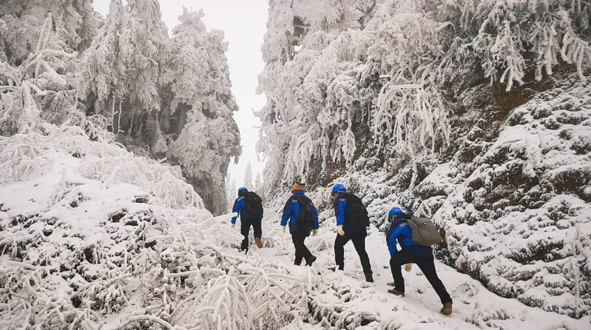 冰雪世界裡的“逆行者”——雲南送變電公司昭通工作站冰巡人員穿過雪原。（常成雲攝）