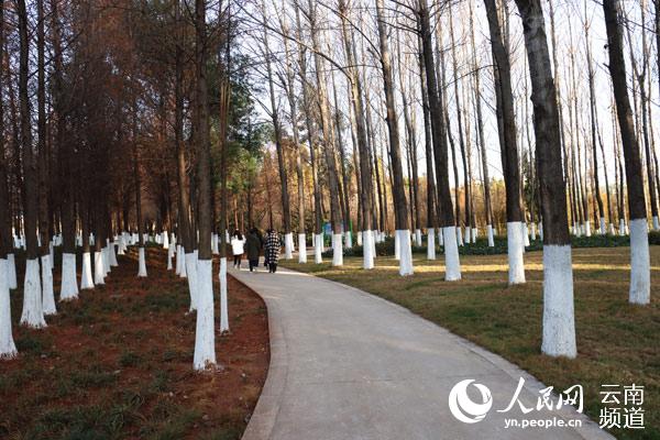 �Ǻ��뵺ʪ������������ء��������� ��� �㣩