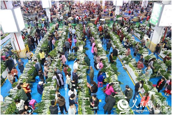 亞洲最大的花卉市場——斗南花市裡人頭攢動。人民網 李發興攝