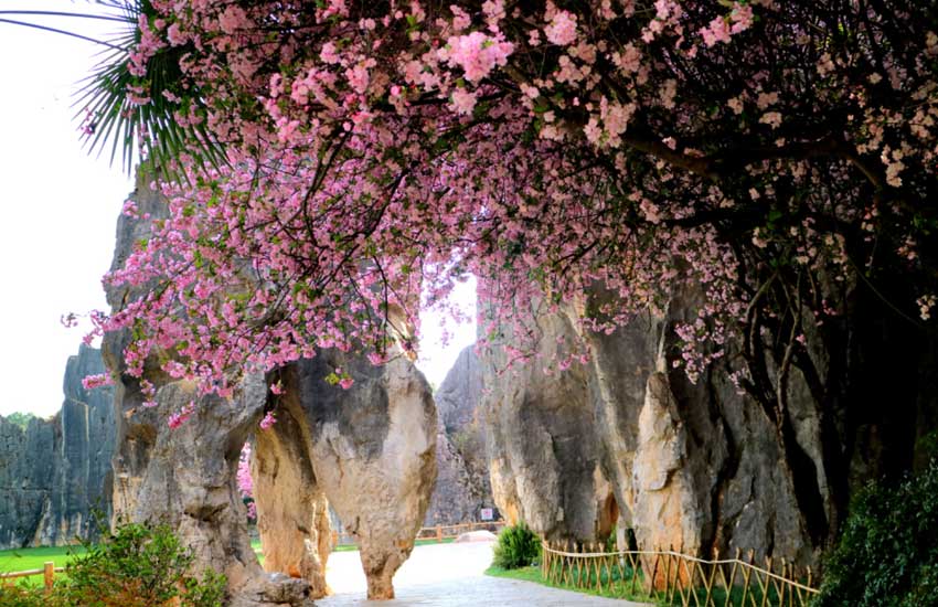 Сʯ�ִ�����ʯ�־�����ͼ