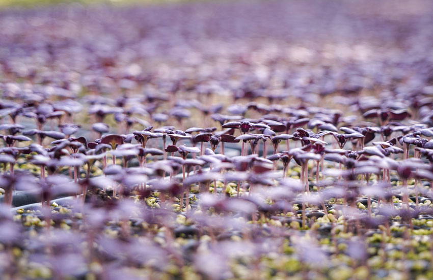 �߶��������������������������ϲ����硣���Ӻ���