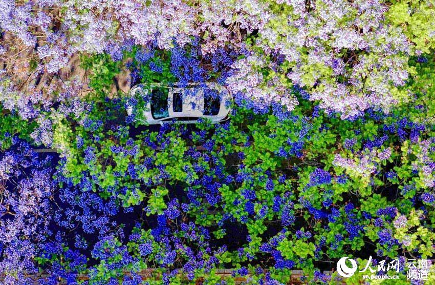 ���������̳���·����麽���ʢ���ڡ��������