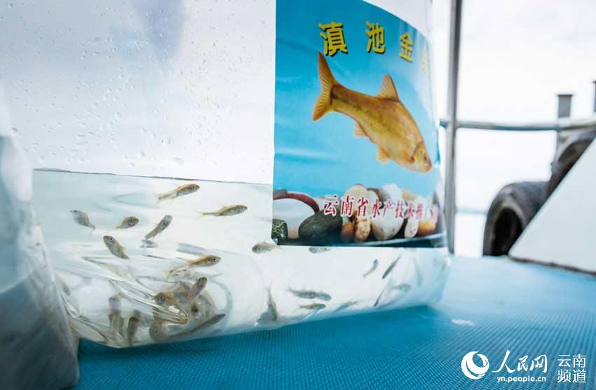 �����������������˹���ֳ�����ֳ������������ǻ� ��