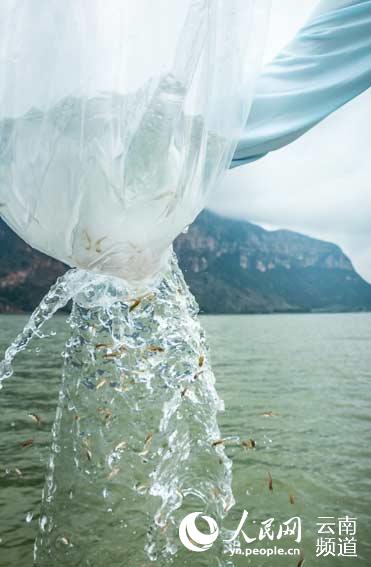 �����������������˹���ֳ�����ֳ������������ǻ� ��