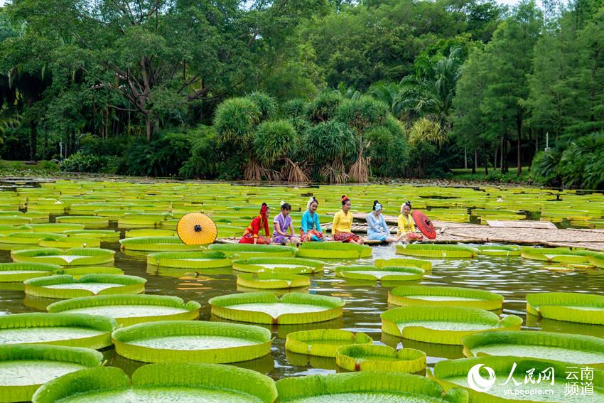 來西雙版納熱帶植物園，和傣家姑娘一道體驗“一葉當舟”。筱嬌嬌攝