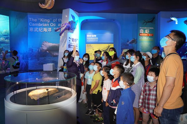 游客参观澄江化石地世界自然博物馆。马智摄