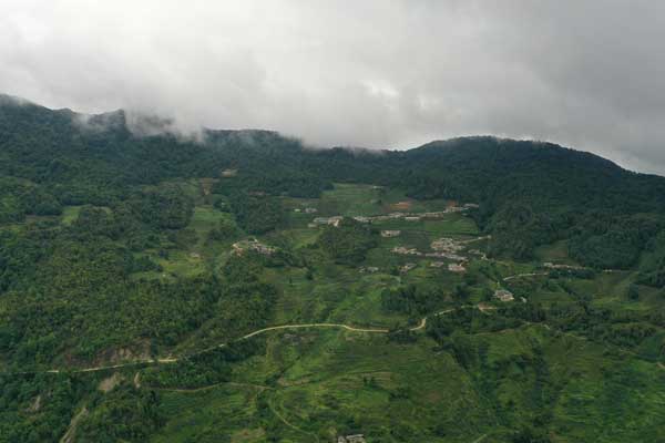 ���ⰻȻ������·�����췼��