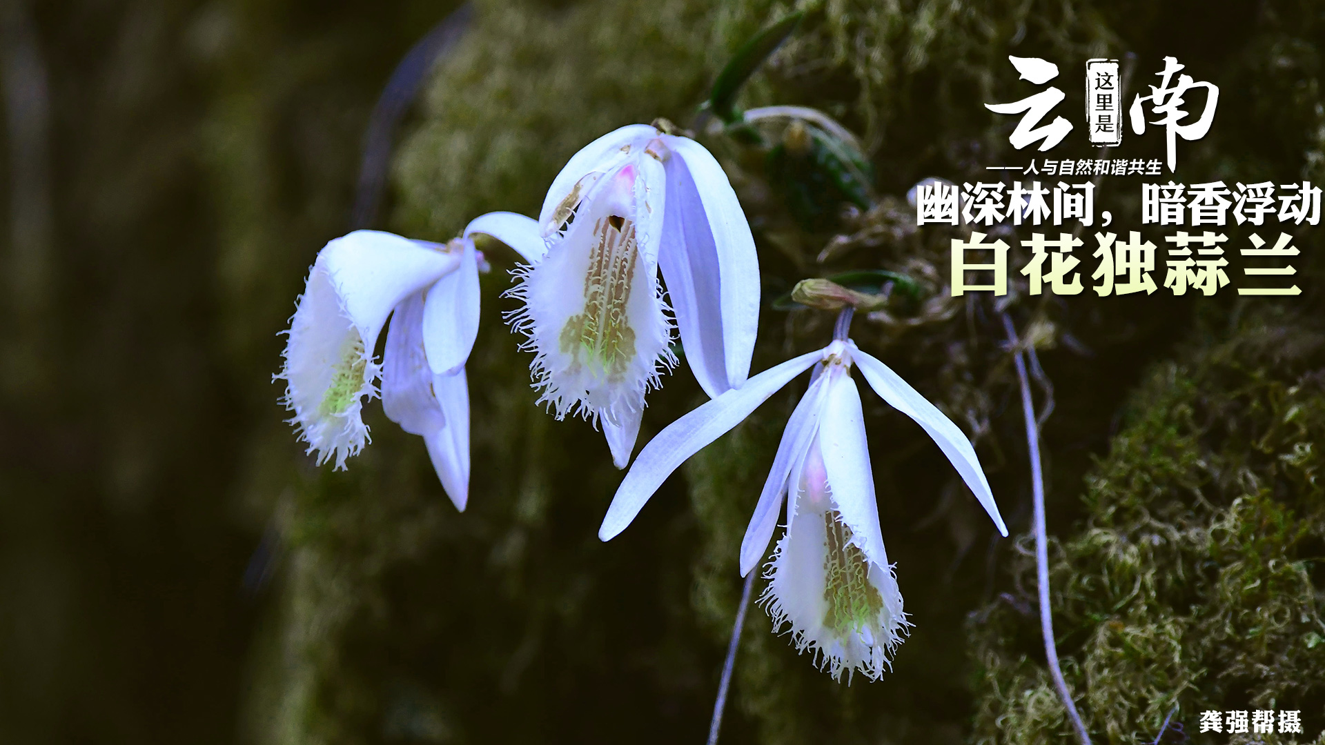 大自然中享受時間錯亂的人