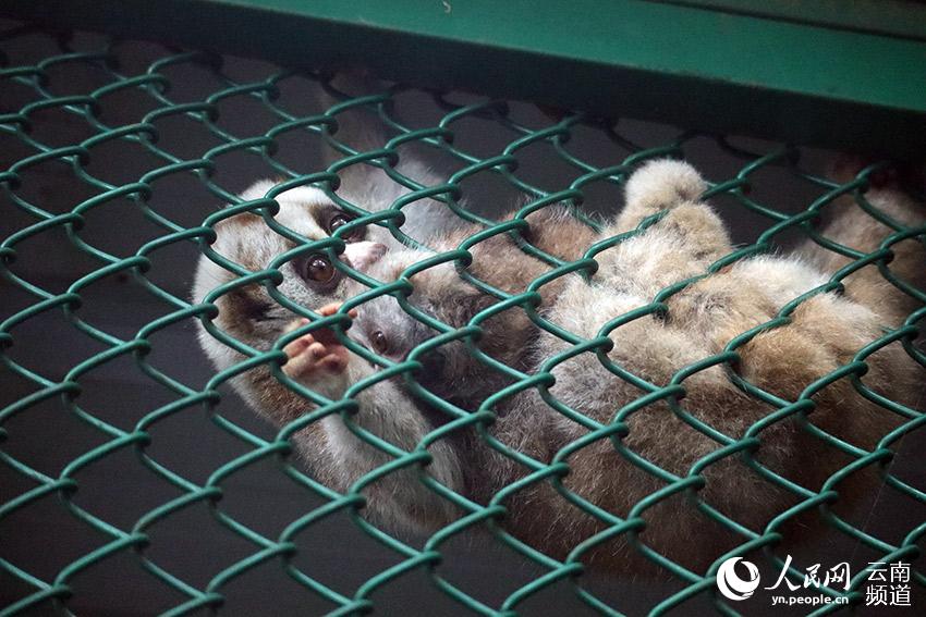 �������С���ػ���С��ʯ����