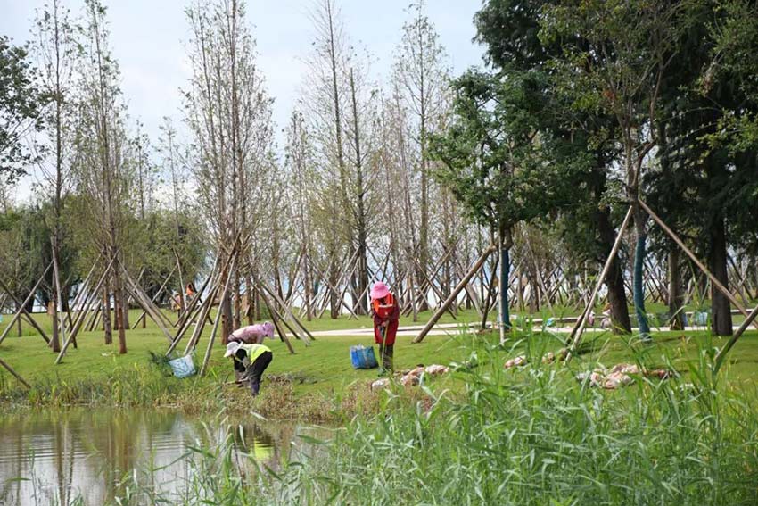 ����ʪ������������ص�չʾ��һ�ǡ��ٶ�����ý�����Ĺ�ͼ