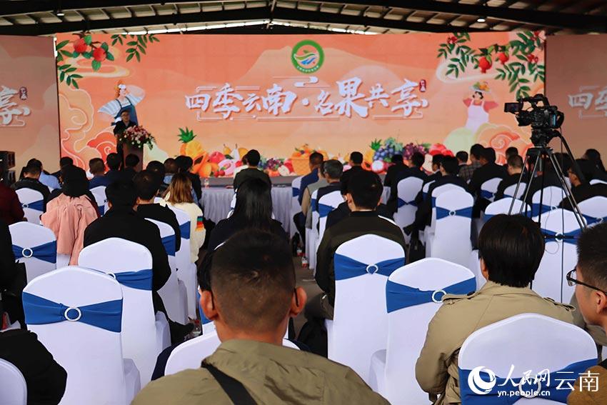 以“四季雲南·名果共享”為主題的雲南省‘10大名果’宣傳推介活動在玉溪舉辦。符皓攝