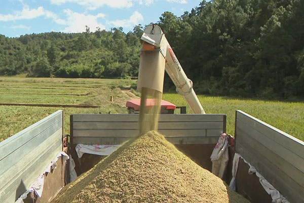 �Ʋݰ�ˮ��ϲ����ա�������