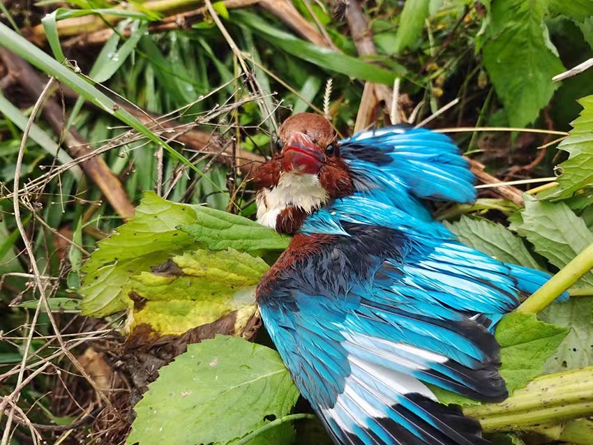 ������İ�����䡣������