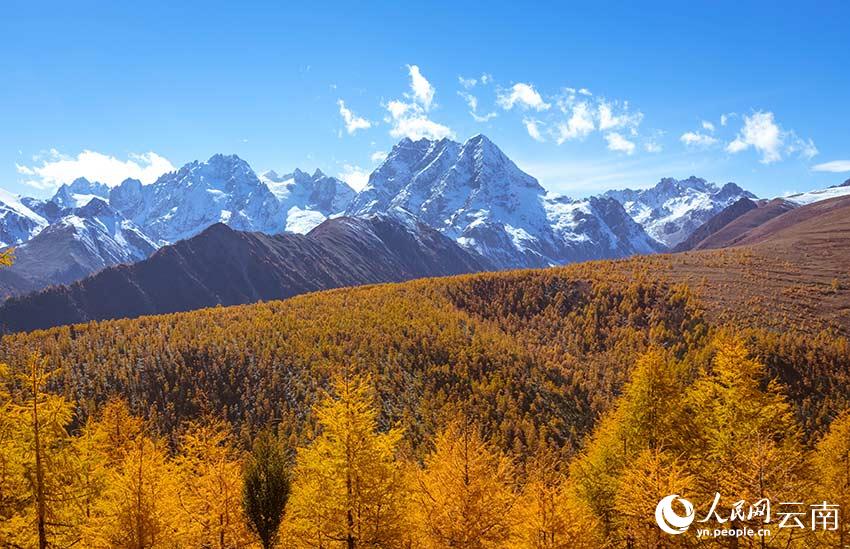 雲南白馬雪山國家級自然保護區秋色絢麗，仿佛五彩斑斕的童話世界。格桑攝