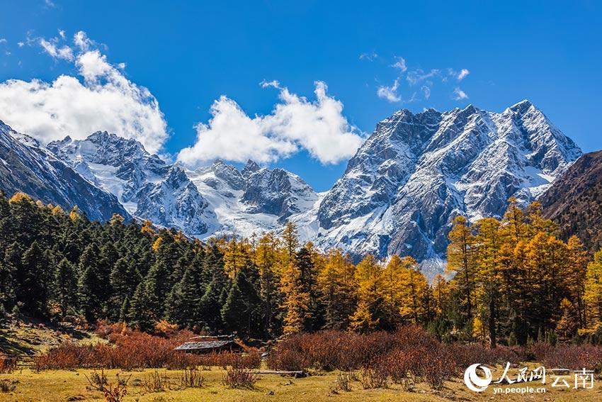 云南白马雪山国家级自然保护区秋色绚丽，仿佛五彩斑斓的童话世界。格桑摄
