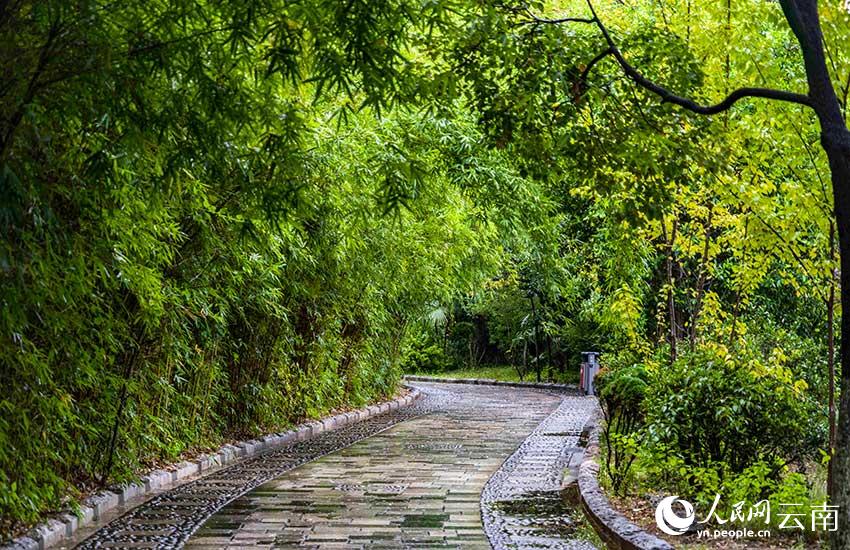 冬日的寶海公園。鄭益攝